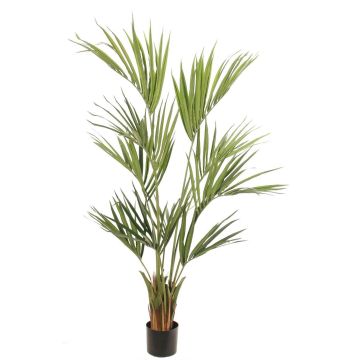 Palmier Kentia artificiel PAIGE, 155 cm Palmier Kentia artificiel PAIGE, 155 cm