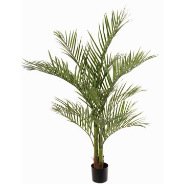 Palmier Areca artificiel JUMBOLINO, 150cm Palmier Areca artificiel JUMBOLINO, 150cm