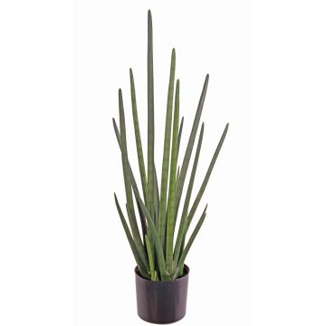 Sansevieria Cylindrica artificiel ASTARIA, vert, 95cm Sansevieria Cylindrica artificiel ASTARIA, vert, 95cm
