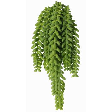 Chute de sedum morganianum artificielle DESPOINA, vert, 30cm