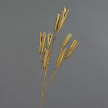 Branche de graines de lys artificielle ELFIDA, brun, 80cm