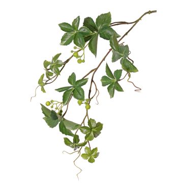 Fausse branche de vigne vierge Parthenocissus AMYCUS, fruits, vert, 80cm Fausse branche de vigne vierge Parthenocissus AMYCUS, fruits, vert, 80cm