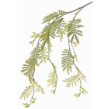 Fausse branche de mimosa ELPIDA, vert, 110cm