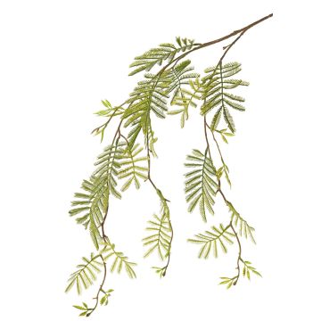 Fausse branche de mimosa ELPIDA, vert, 110cm