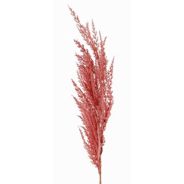 Branche artificielle panicule de l'herbe de la pampa ERATO, rose, 100cm Branche artificielle panicule de l'herbe de la pampa ERATO, rose, 100cm