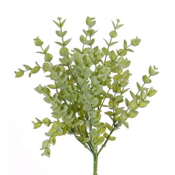 Arbuste d'eucalyptus artificiel INGOMAR, sur piquet, vert, 30cm