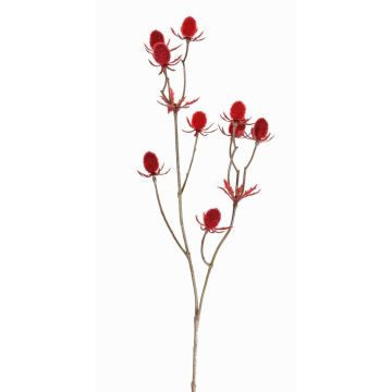 Branche de chardon artificielle (Eryngium) LOUKAS, rouge, 45cm, Ø1-1,5cm Branche de chardon artificielle (Eryngium) LOUKAS, rouge, 45cm, Ø1-1,5cm