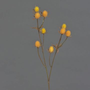Branche de chardon artificielle (Eryngium) LOUKAS, jaune-orange, 45cm, Ø1,5cm Branche de chardon artificielle (Eryngium) LOUKAS, jaune-orange, 45cm, Ø1,5cm