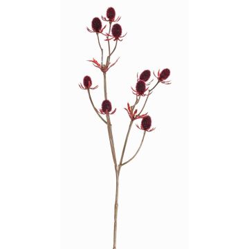 Branche de chardon artificielle (Eryngium) LOUKAS, rouge bourgogne, 45cm, Ø1-1,5cm Branche de chardon artificielle (Eryngium) LOUKAS, rouge bourgogne, 45cm, Ø1-1,5cm