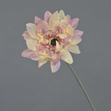 Gerbera en tissu PAMILLA, vieux rose, 65cm, Ø12cm Gerbera en tissu PAMILLA, vieux rose, 65cm, Ø12cm