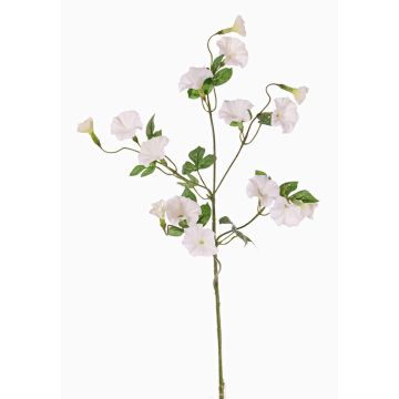 Ipomée artificiel IORDANIS, blanc, 80cm, Ø3-5,5cm Ipomée artificiel IORDANIS, blanc, 80cm, Ø3-5,5cm