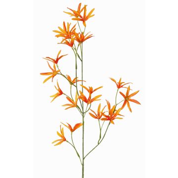 Fleur artificielle Tweedia solanoides PALLAS, orange, 70cm, Ø5cm Fleur artificielle Tweedia solanoides PALLAS, orange, 70cm, Ø5cm