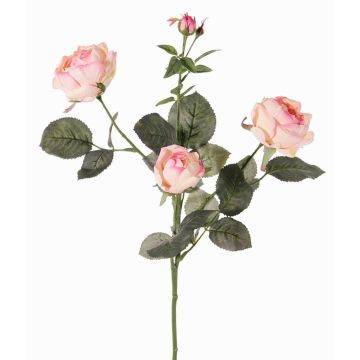 Branche de rose en tissu DIAMANTIS, rose-crème, 70cm, Ø5-8cm