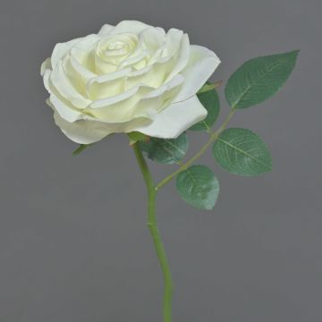Fleur artificielle Rose NIKOLETA, blanc, 30cm, Ø12cm Fleur artificielle Rose NIKOLETA, blanc, 30cm, Ø12cm