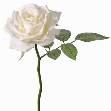 Fleur artificielle Rose NIKOLETA, blanc, 30cm, Ø12cm