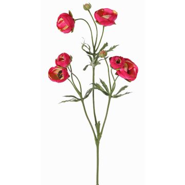 Renoncule artificielle YARIS, rose fuchsia-vert, 65cm, Ø3-4,5cm