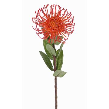 Fleur artificielle Protéa BAILY, orange, 50cm, Ø12cm Fleur artificielle Protéa BAILY, orange, 50cm, Ø12cm