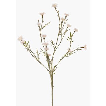 Fleur artificielle Bleuet ZENOBIOS, crème, 80cm, Ø3-4cm