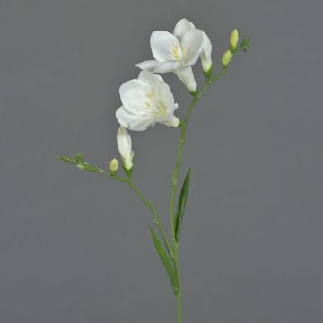 Freesia en tissu MARUSHA, blanc, 65cm, Ø7cm Freesia en tissu MARUSHA, blanc, 65cm, Ø7cm