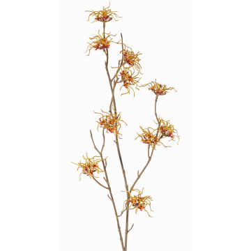Branche d'hamamélis artificielle XYLA, fleurs, orange-jaune, 70cm, Ø5cm Branche d'hamamélis artificielle XYLA, fleurs, orange-jaune, 70cm, Ø5cm