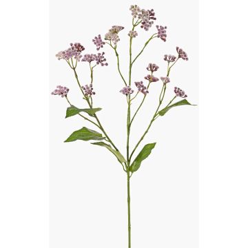 Fleur artificielle Eupatorium KORALIA, lilas, 80cm