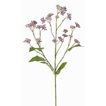 Fleur artificielle Eupatorium KORALIA, lilas, 80cm Fleur artificielle Eupatorium KORALIA, lilas, 80cm