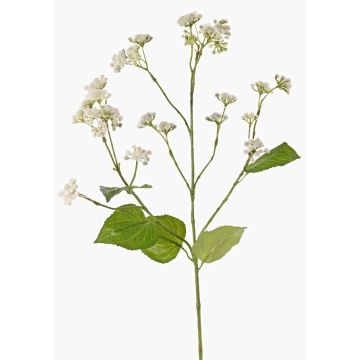 Fleur artificielle Eupatorium KORALIA, crème, 80cm