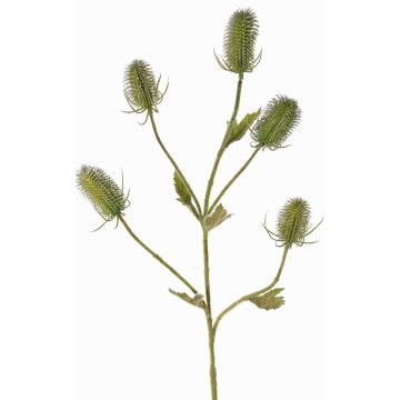 Cardère sauvage artificielle KASTANIA, vert, 90cm