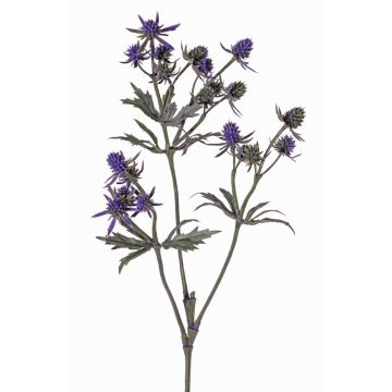 Chardon artificiel (Eryngium) KALYPSO, violet foncé, 65cm Chardon artificiel (Eryngium) KALYPSO, violet foncé, 65cm