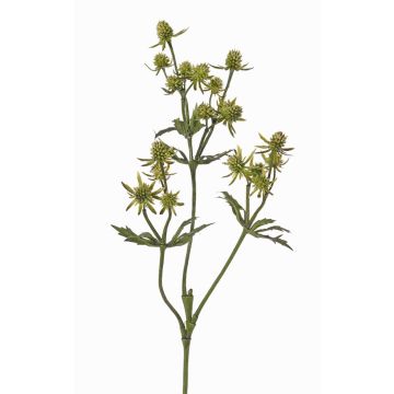 Chardon artificiel (Eryngium) KALYPSO, vert, 65cm Chardon artificiel (Eryngium) KALYPSO, vert, 65cm