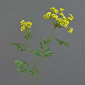 Ammi majus artificiel KALIXTUS, vert, 75cm, Ø7-13cm
