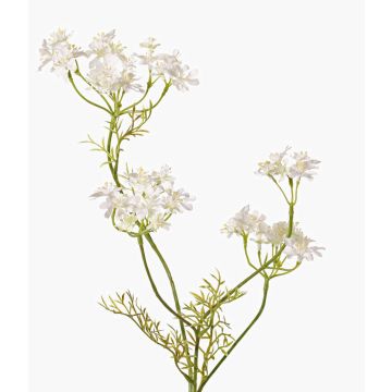 Carotte sauvage artificielle KALOMIRA, blanc, 85cm Carotte sauvage artificielle KALOMIRA, blanc, 85cm