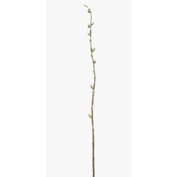 Branche de saule décorative DAFINO avec fleurs, blanc, 105cm