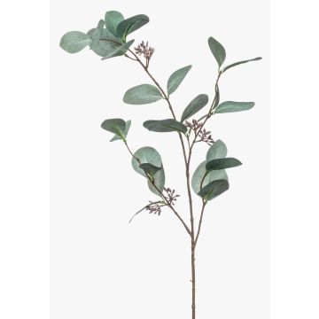 Fausse branche d'eucalyptus MAXEN avec fruits, vert-gris, 75cm