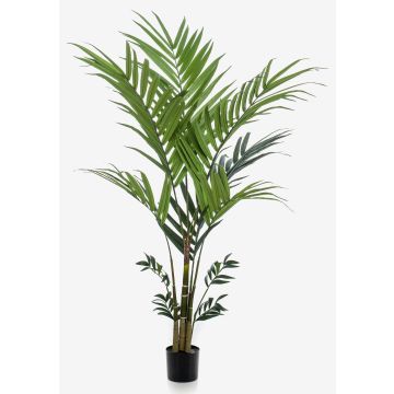 Faux palmier kentia NESTA, 180cm