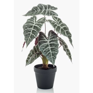 Faux Alocasia Sanderiana UTHER, vert-blanc, 40cm