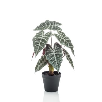 Faux Alocasia Sanderiana UTHER, vert-blanc, 40cm