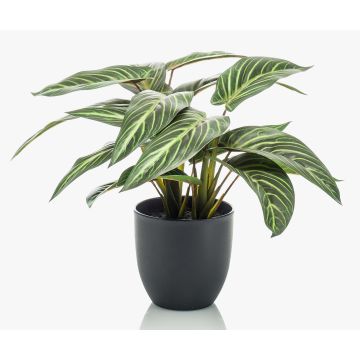 Calathea Zebrina artificiel VAIDA en pot décoratif, vert-blanc, 40cm Calathea Zebrina artificiel VAIDA en pot décoratif, vert-blanc, 40cm