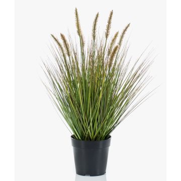 Graminée artificielle YWAIN, panicules, beige-vert, 60cm