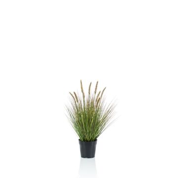 Graminée artificielle YWAIN, panicules, beige-vert, 60cm