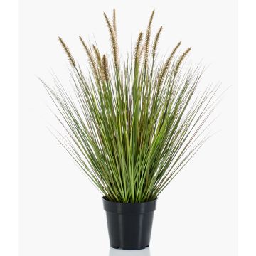 Graminée artificielle YWAIN, panicules, beige-vert, 70cm
