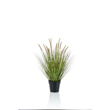 Graminée artificielle YWAIN, panicules, beige-vert, 70cm
