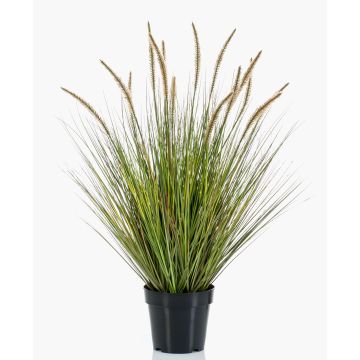 Graminée artificielle YWAIN, panicules, beige-vert, 85cm