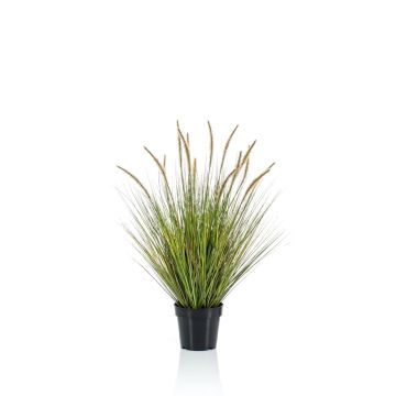 Graminée artificielle YWAIN, panicules, beige-vert, 85cm