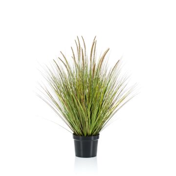 Graminée artificielle YWAIN, panicules, beige-vert, 100cm
