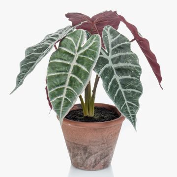Faux Alocasia Sanderiana GARCIA, pot en terre cuite, vert-blanc, 30cm