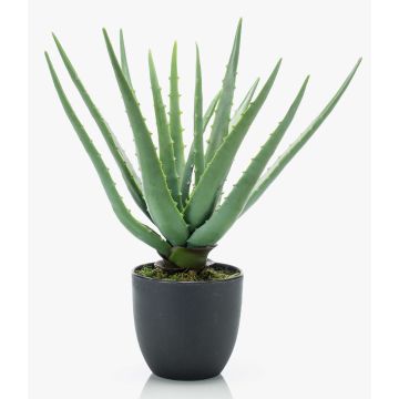 Aloe Vera artificiel EVELIO en pot décoratif, 35cm