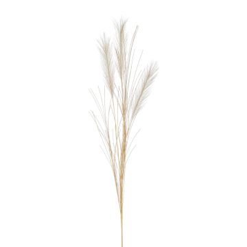 Tige d'Herbe de la Pampa artificielle BALARI, panicules, crème, 65cm