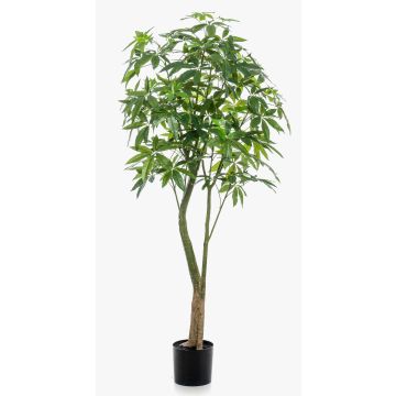 Arbre pachira artificiel HARUKI, troncs artificiels, 180cm