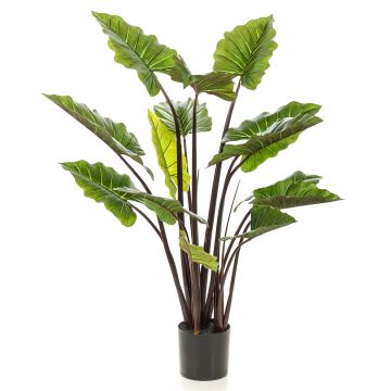 Fausse plante oreille d'éléphant KANAYE, vert, 130cm